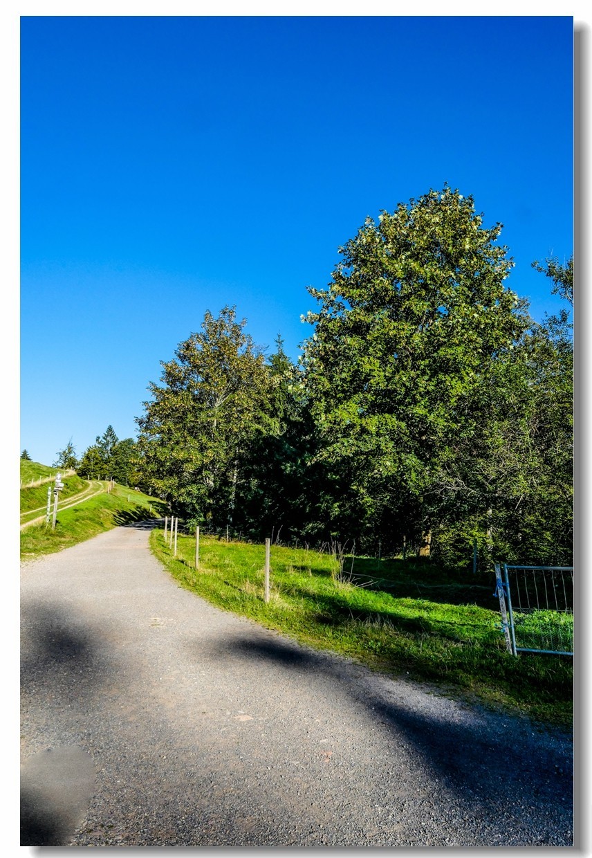 骑游“黑森林”（南德）