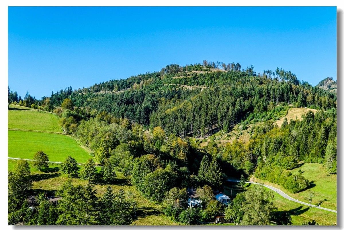 骑游“黑森林”（南德）