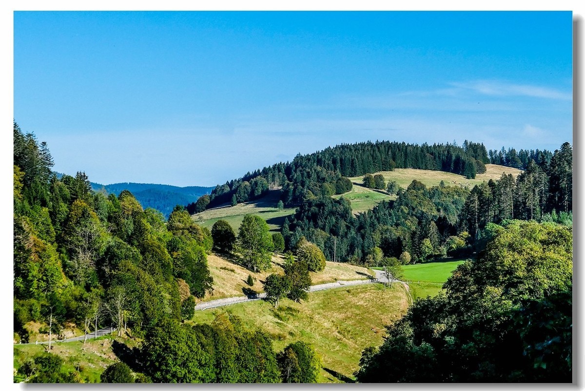 骑游“黑森林”（南德）