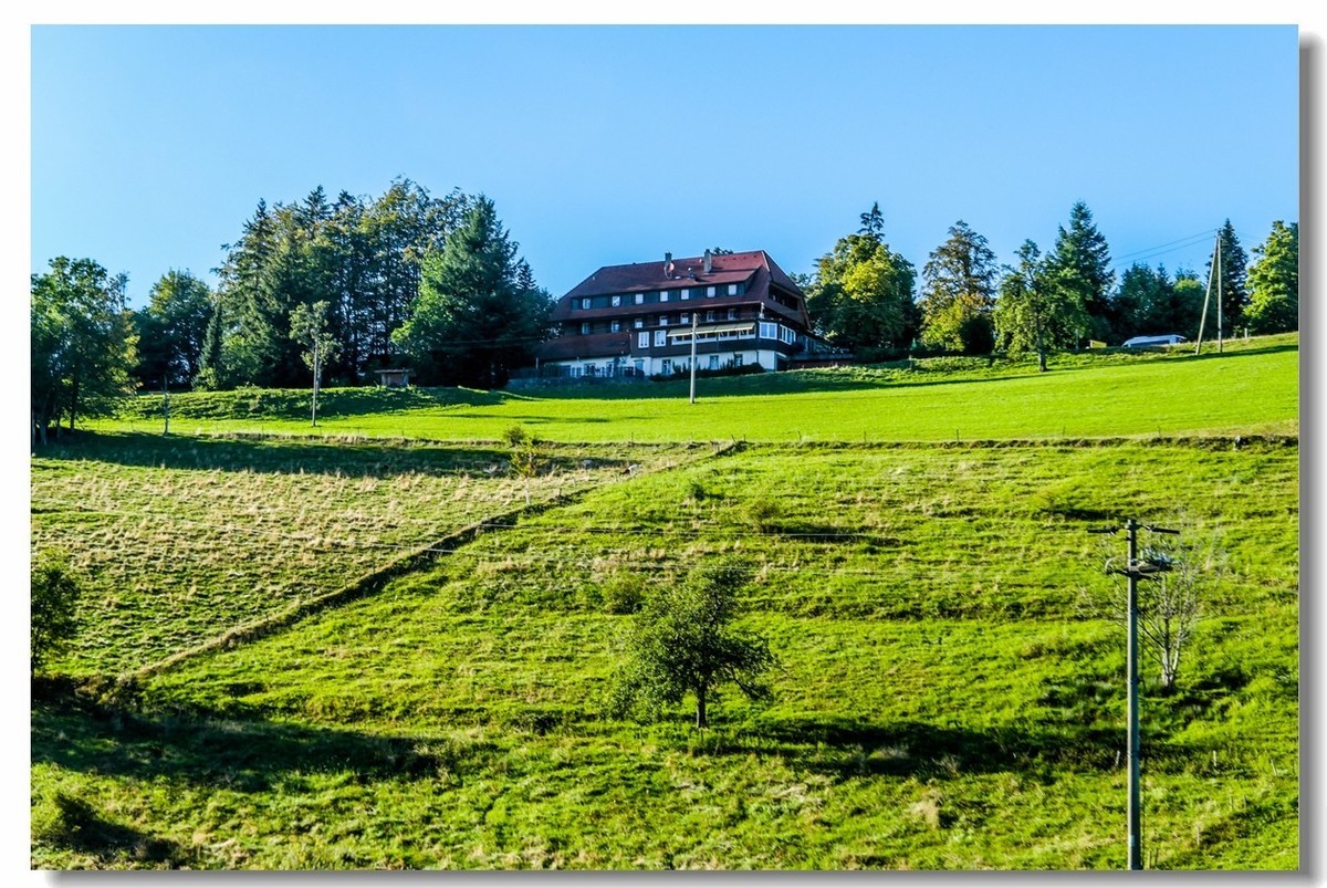 骑游“黑森林”（南德）