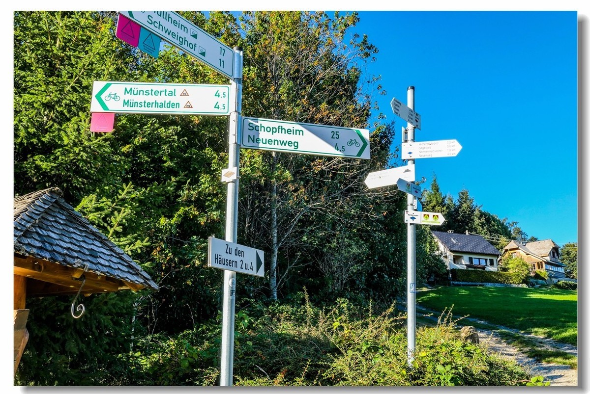 骑游“黑森林”（南德）