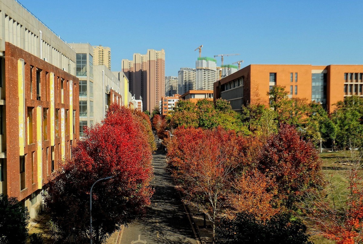 文华学院红枫续一