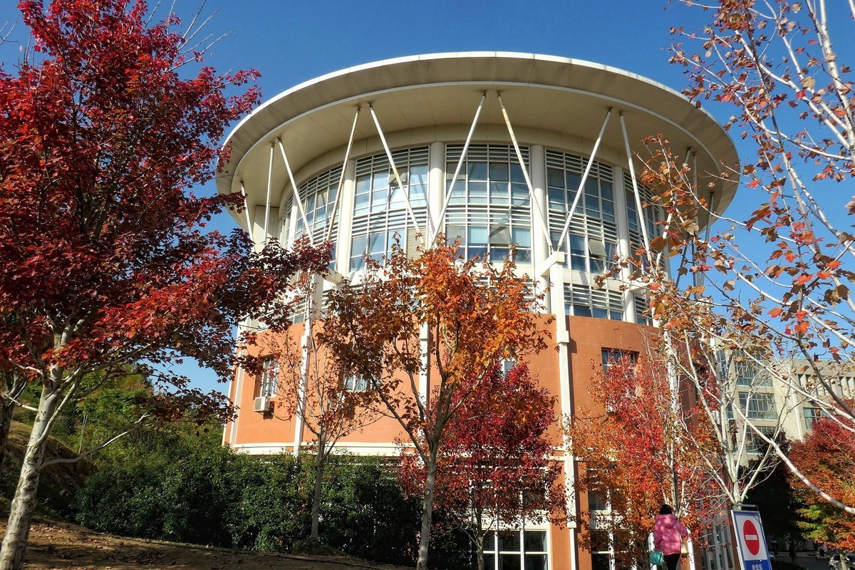 文华学院红枫续一