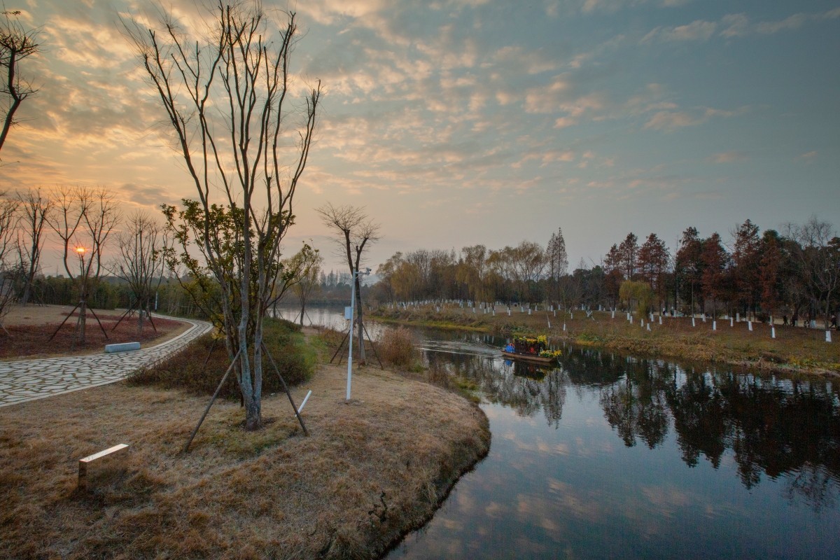 洋湖溼地公園風景21