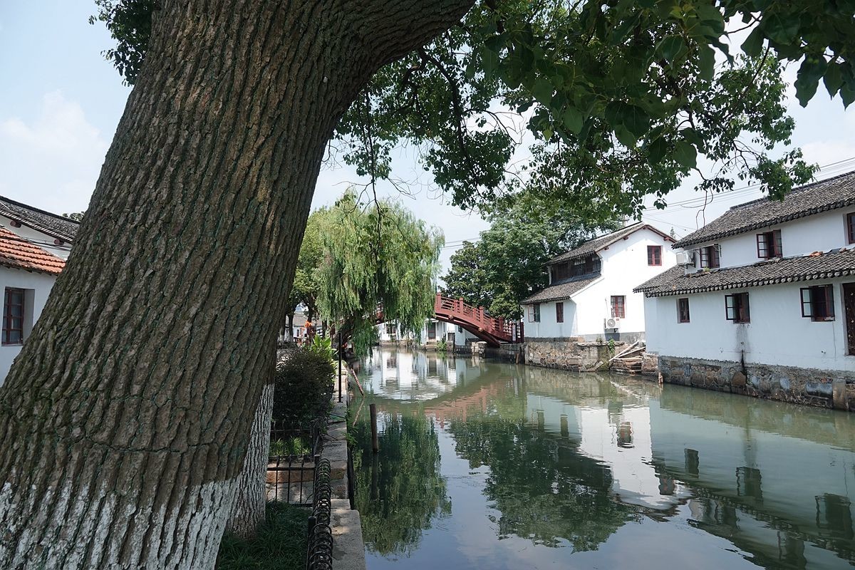 水乡金泽古镇游拍