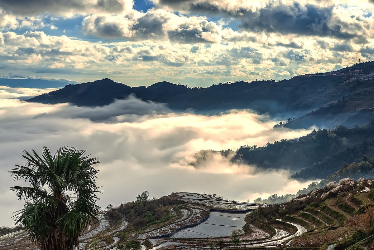 元江梯田风景名胜区图片