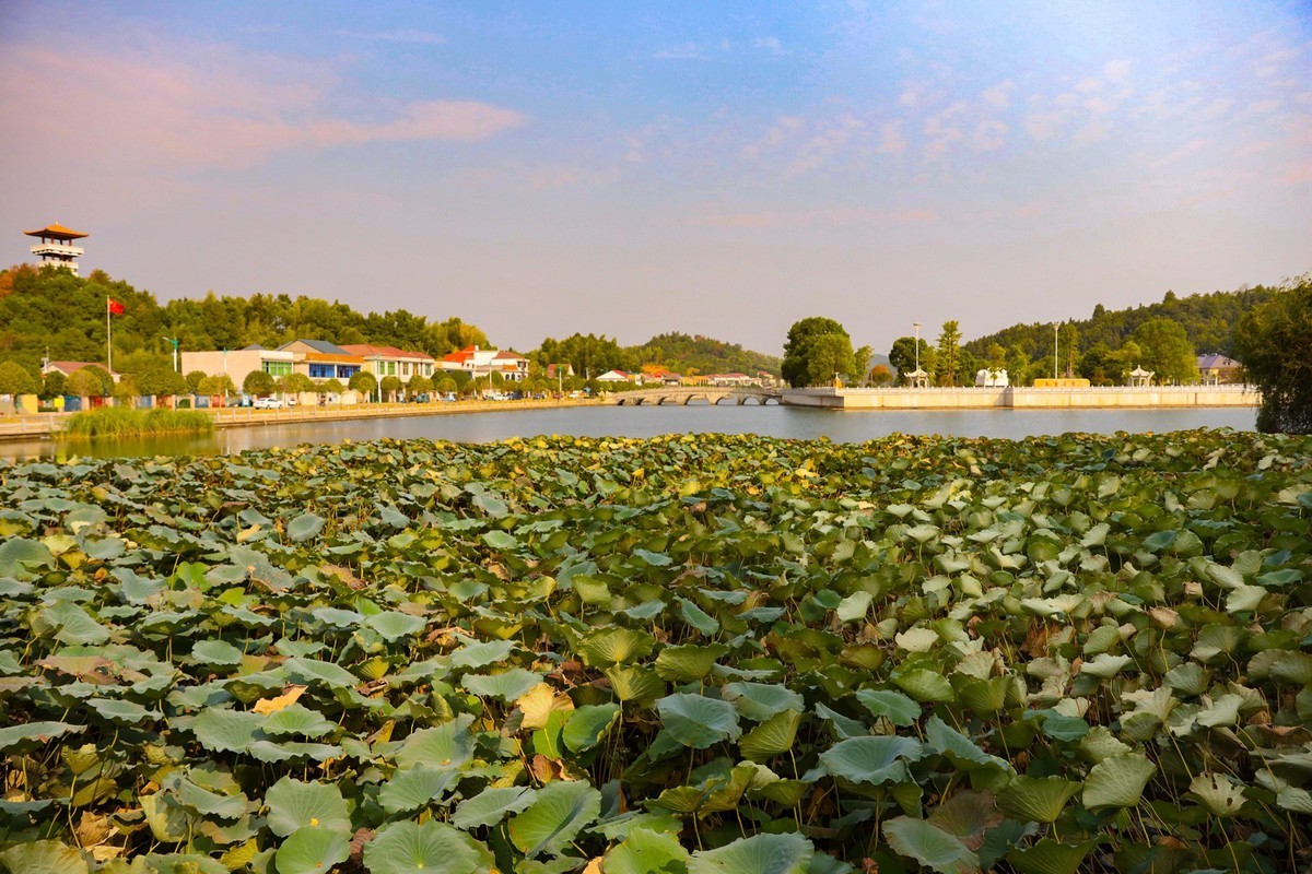 美丽新农村--江背镇狮子山公园