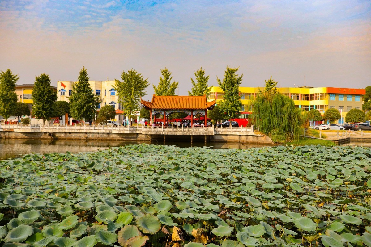 美丽新农村--江背镇狮子山公园