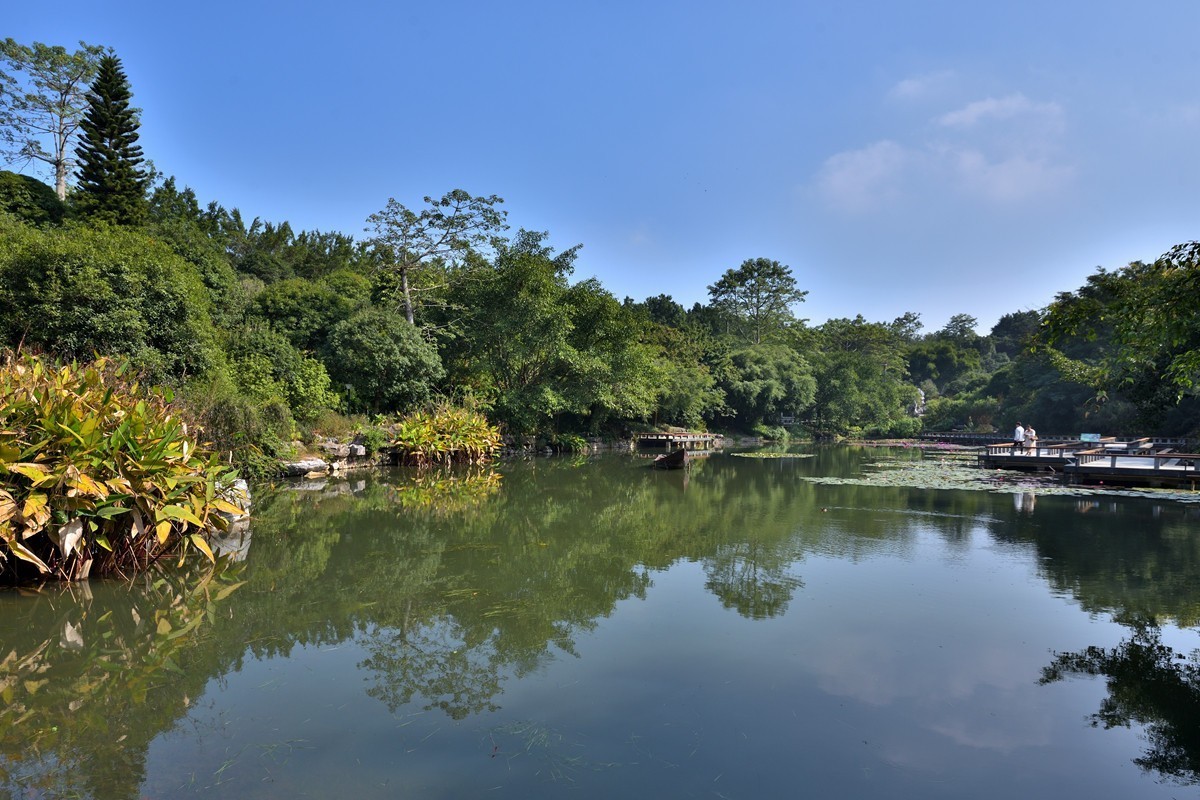 青秀山北区随拍8-中关村在线摄影论坛