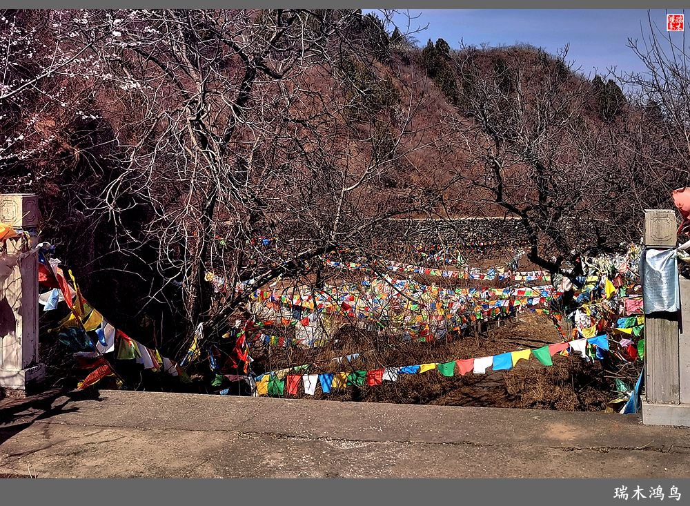 【京城寺庙集锦】84.春游菩萨山上转一遭