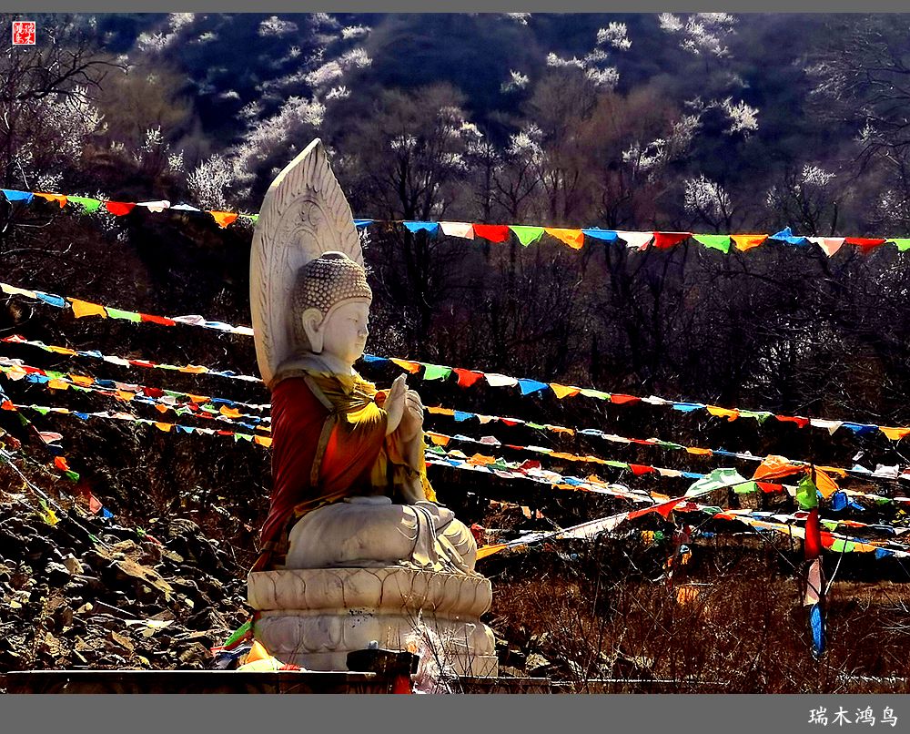 【京城寺庙集锦】84.春游菩萨山上转一遭