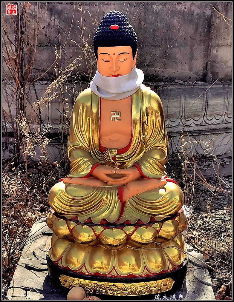 【京城寺庙集锦】84.春游菩萨山上转一遭