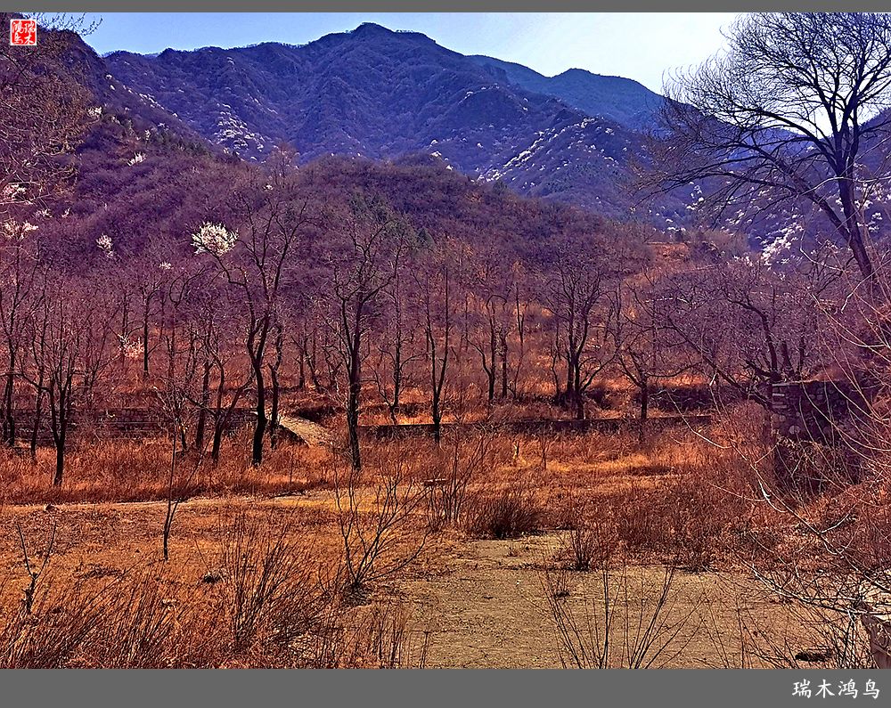 【京城寺庙集锦】84.春游菩萨山上转一遭