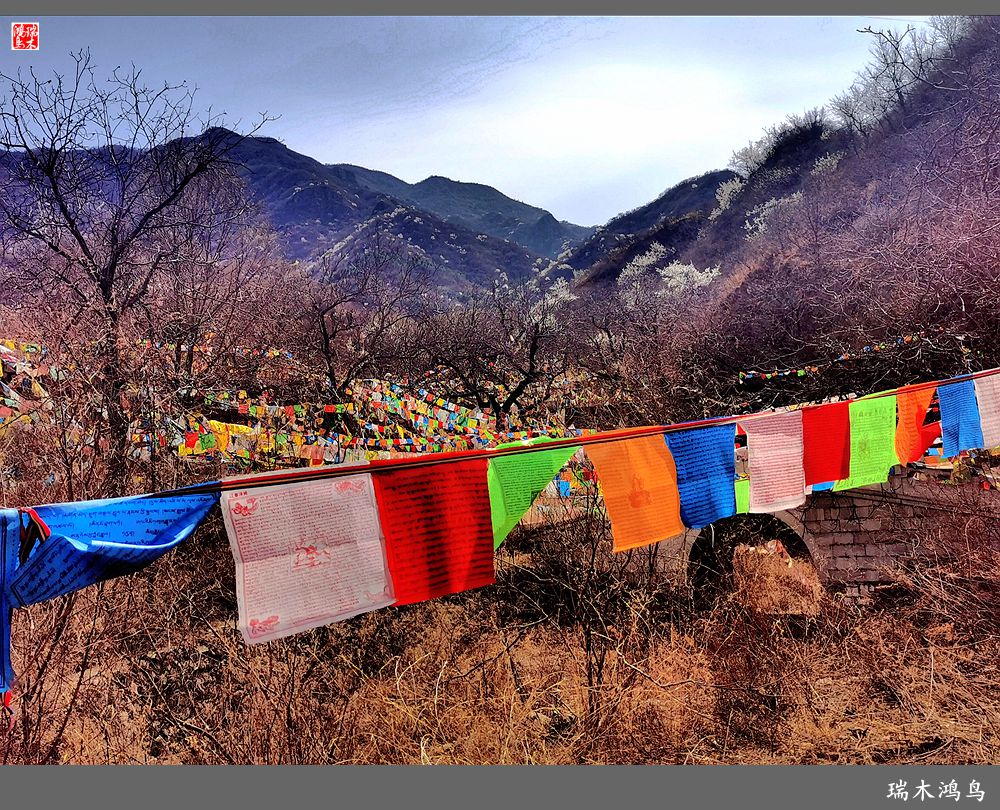 【京城寺庙集锦】84.春游菩萨山上转一遭