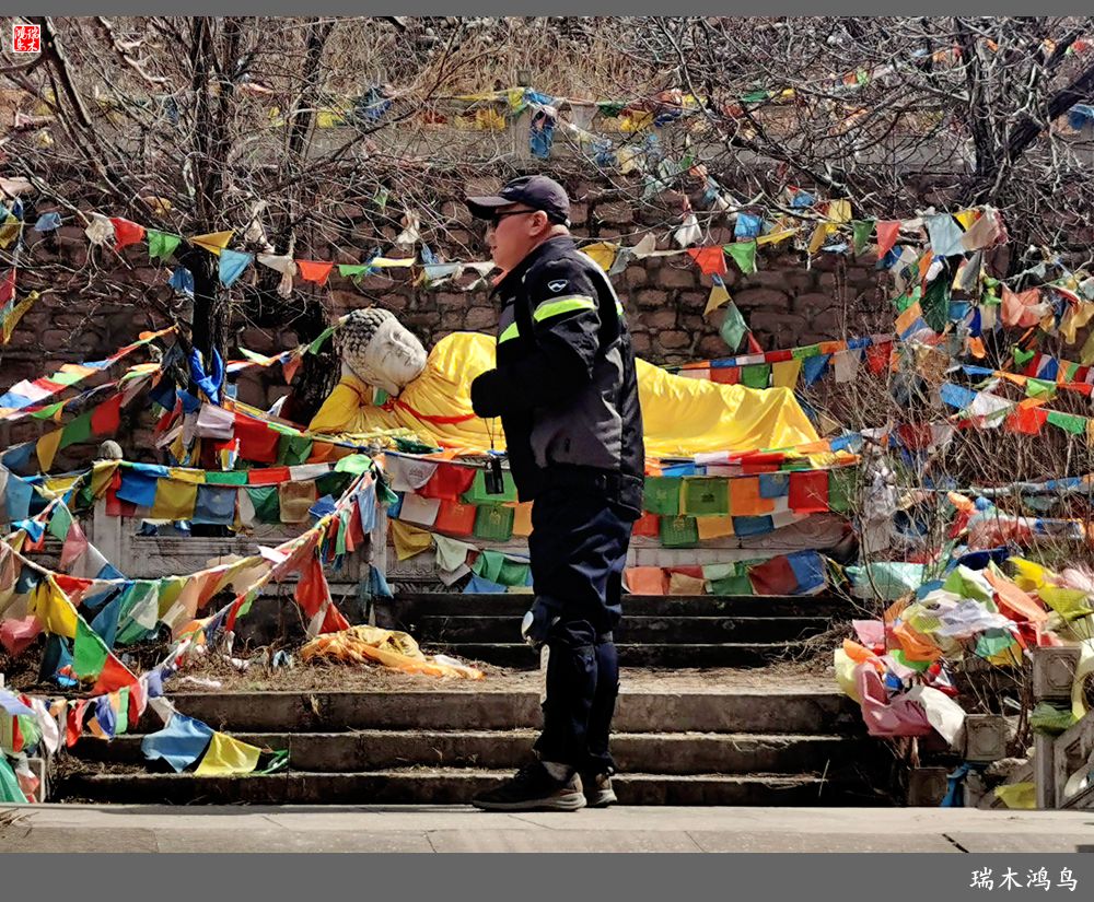 【京城寺庙集锦】84.春游菩萨山上转一遭