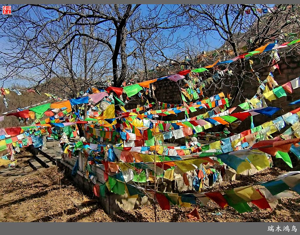 【京城寺庙集锦】84.春游菩萨山上转一遭