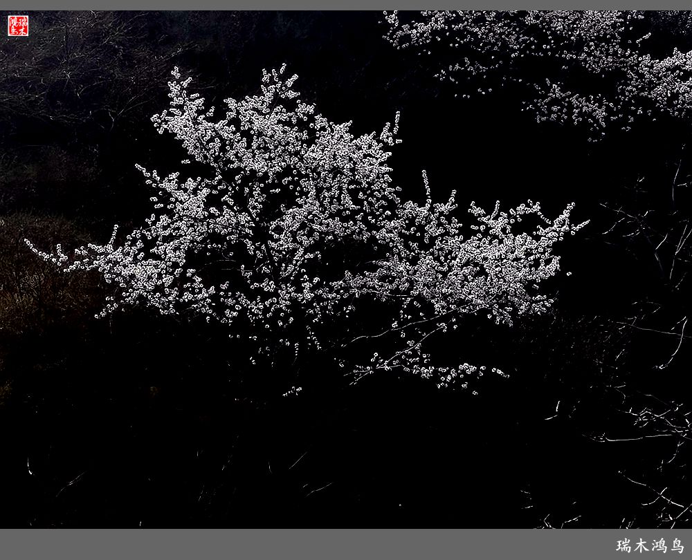 【京城寺庙集锦】84.春游菩萨山上转一遭