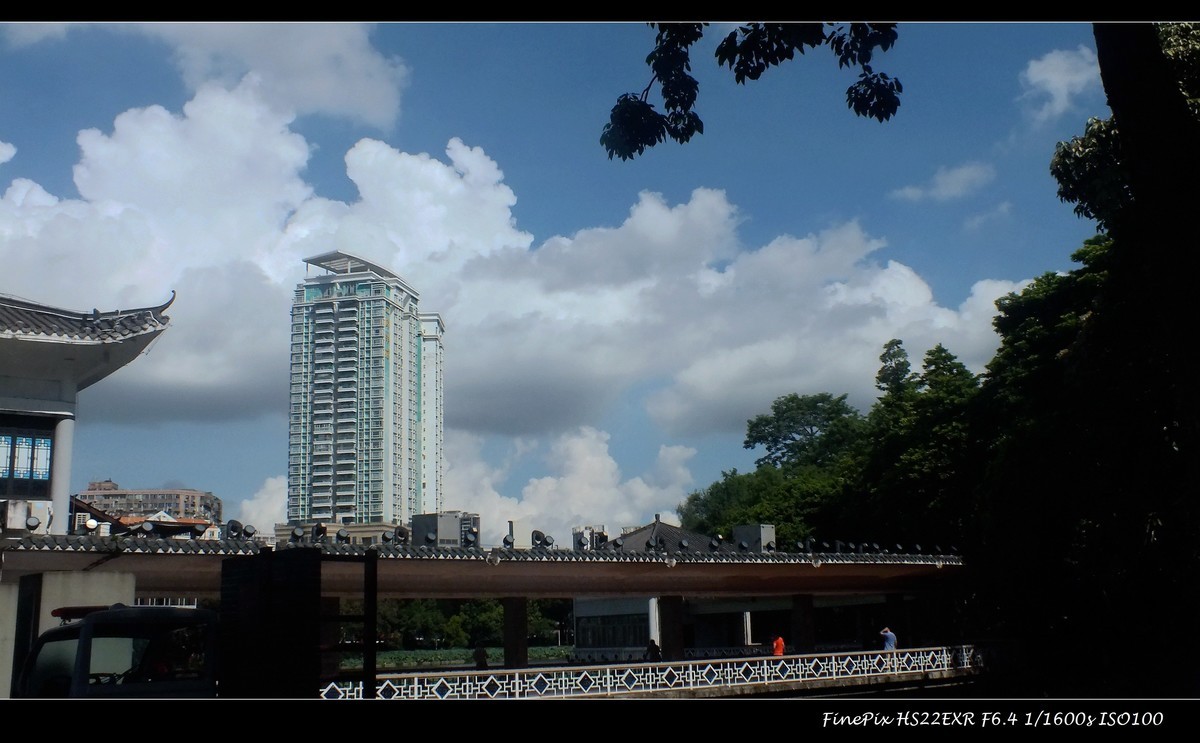 又见荷花开 2024 (23) 荔湾湖公园多美景