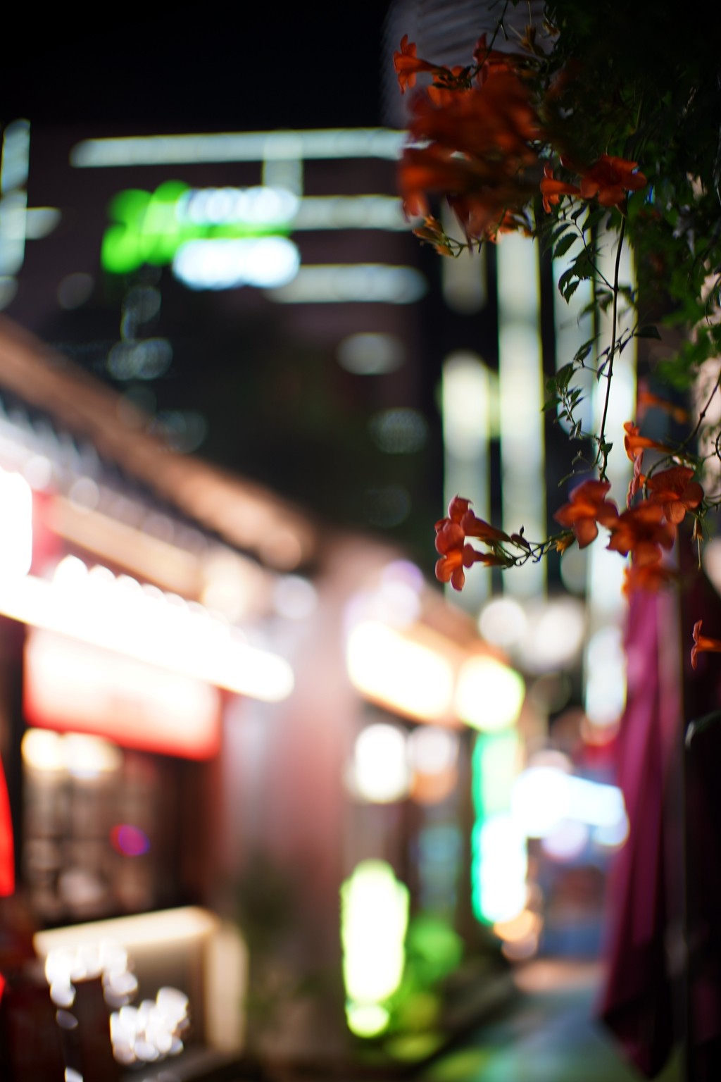 无锡小娄巷夜色