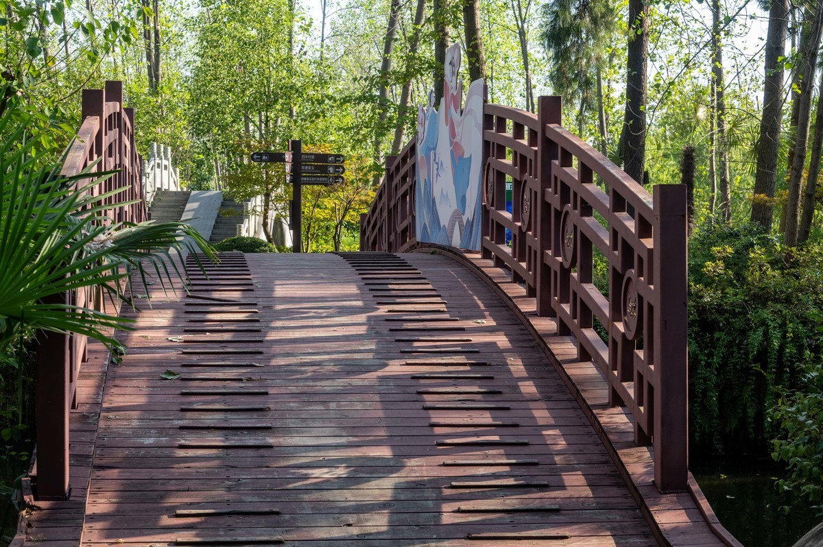 庐州印象（385）