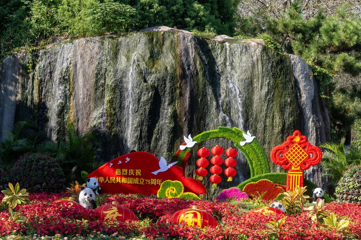 庐州印象（385）