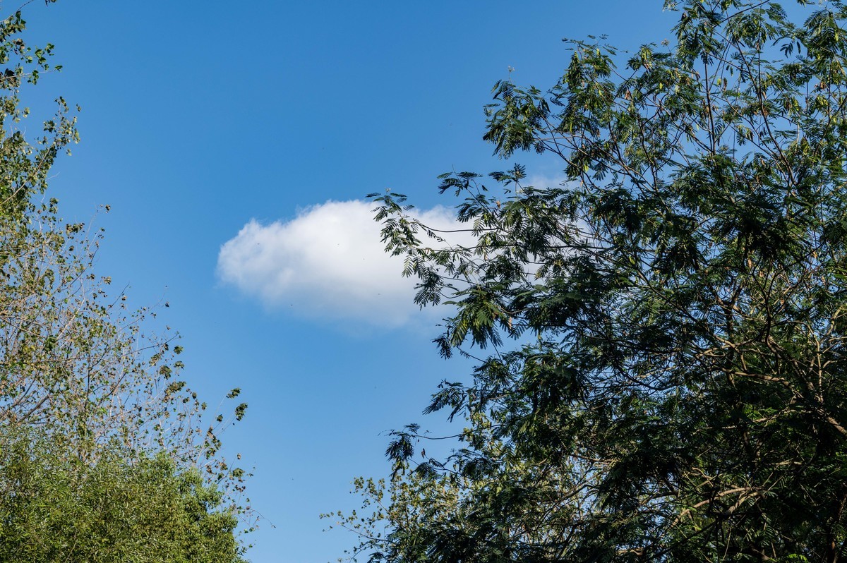 庐州印象（385）