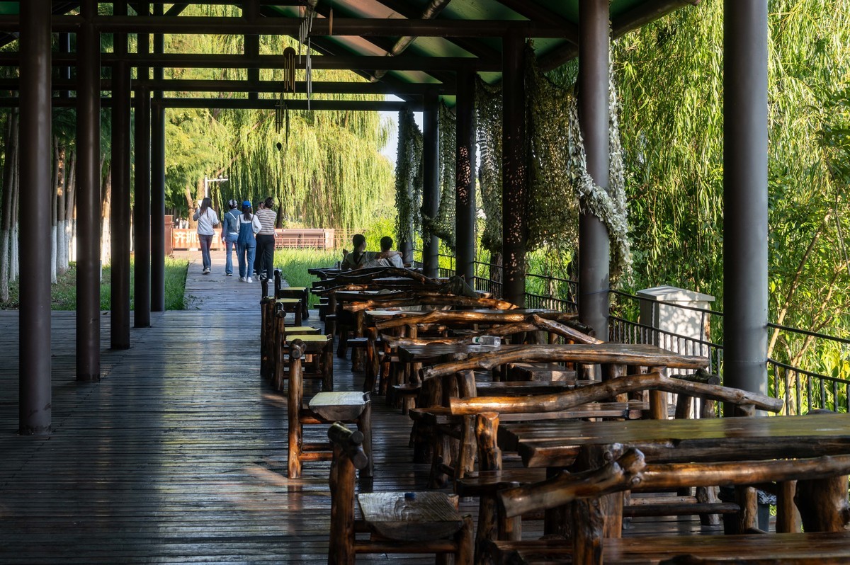 庐州印象（385）