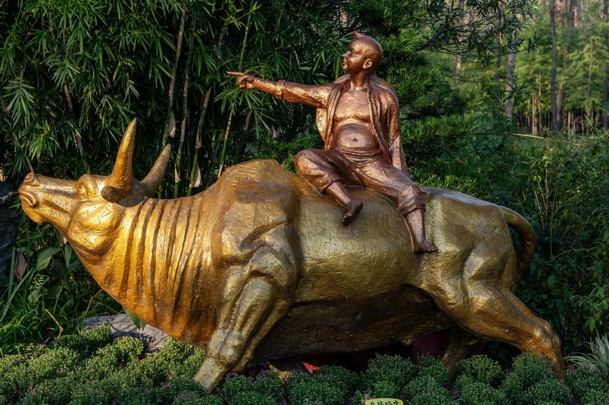 庐州印象（385）