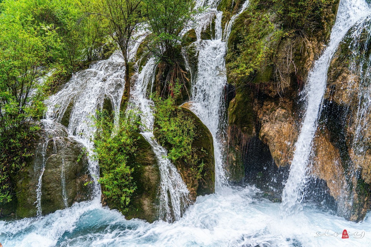 四川行（六）九寨归来不看水（3）