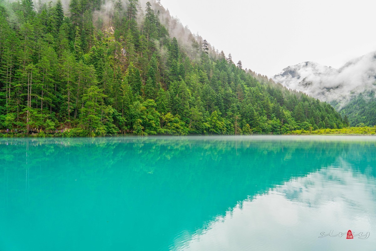 四川行（六）九寨归来不看水（3）