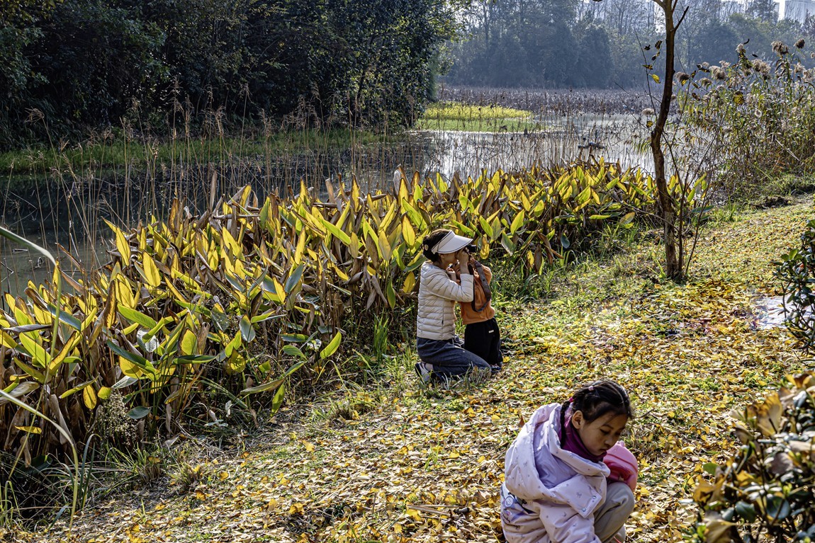 成都白鹭湾湿地公园【1】