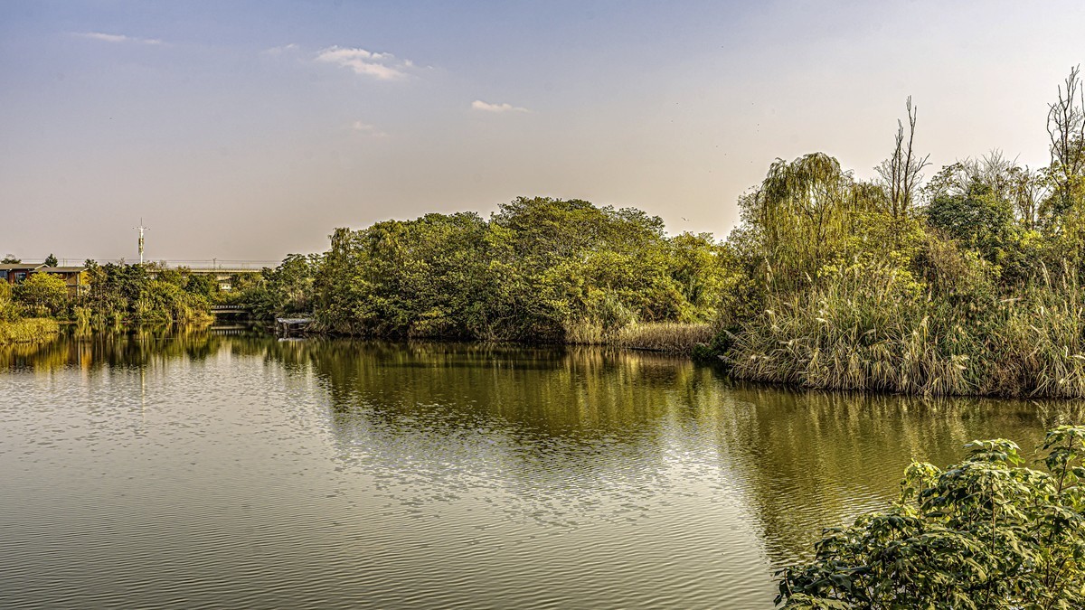 成都白鹭湾湿地公园【1】