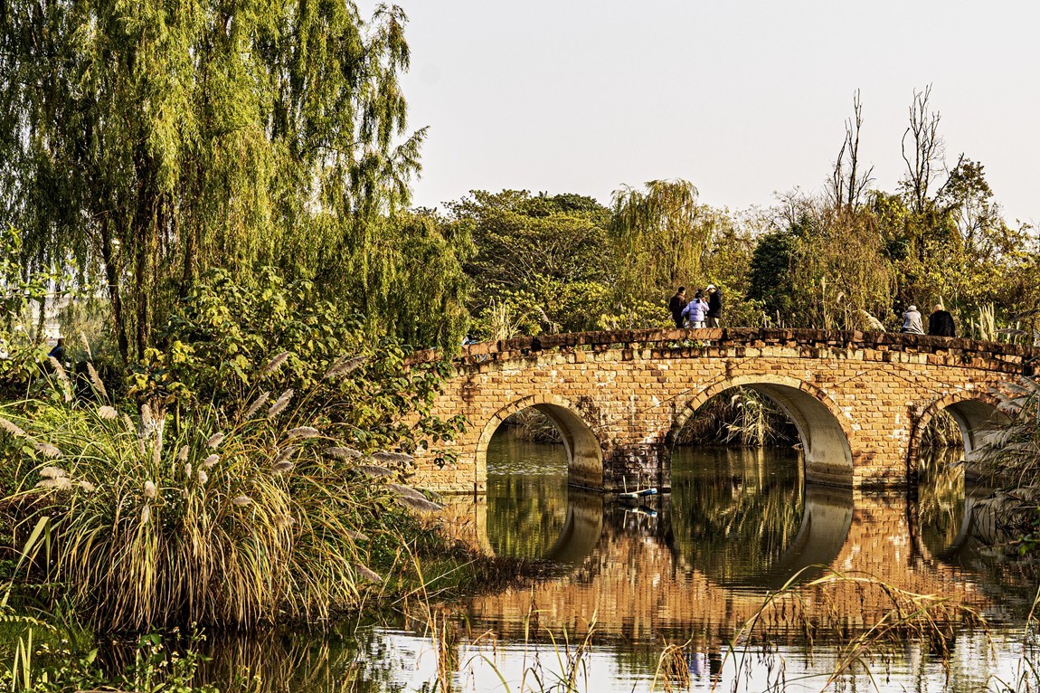 成都白鹭湾湿地公园【1】