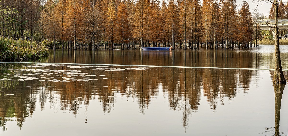 成都白鹭湾湿地公园【1】