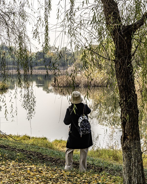 成都白鹭湾湿地公园【1】