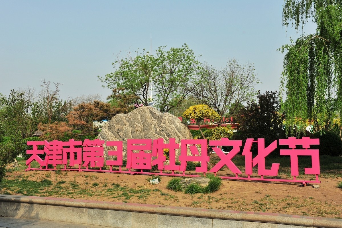 雍容华贵 国色天香