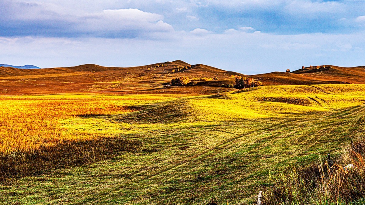 行走在--坝上草原【16】