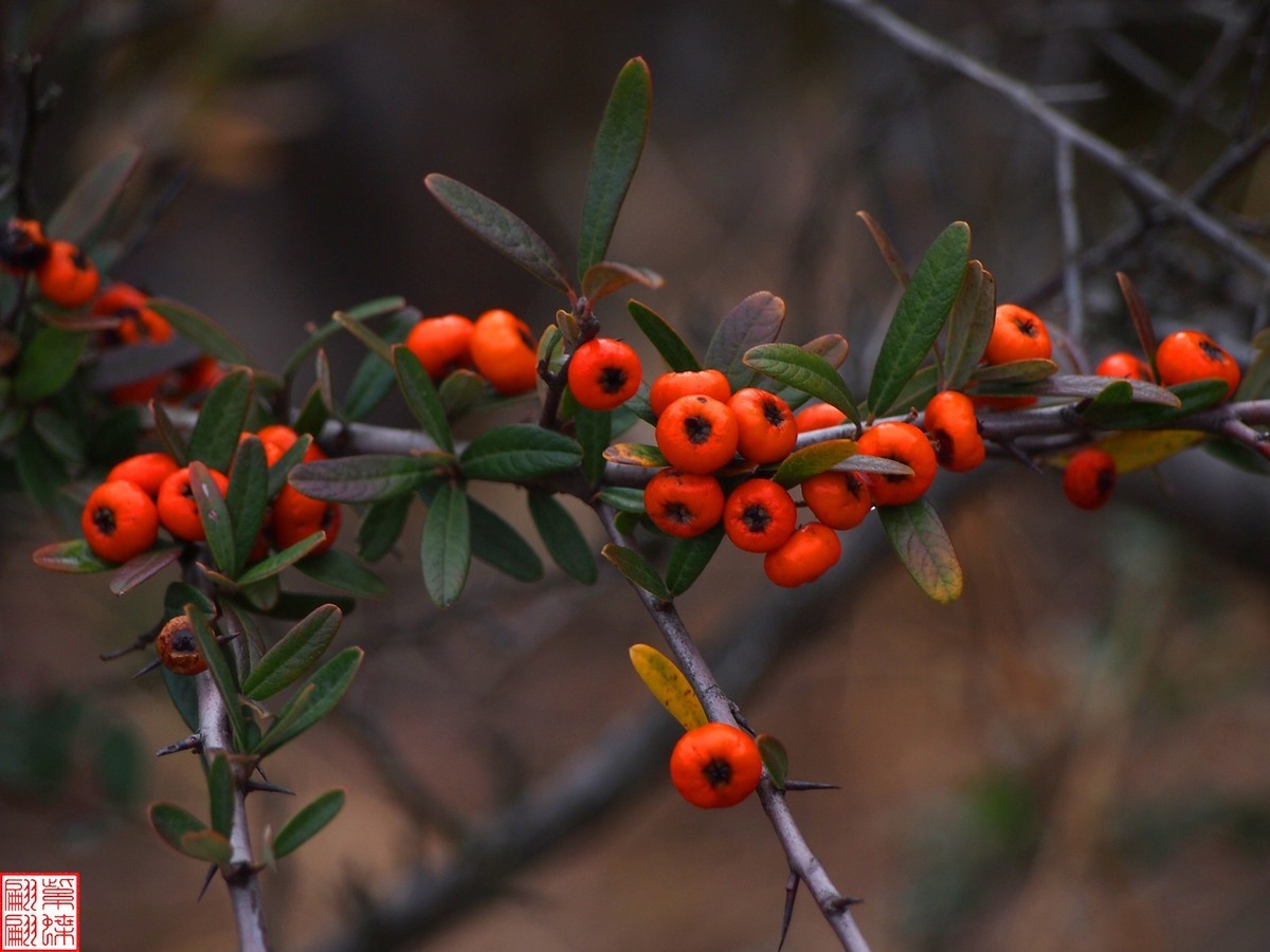 珠江源随拍（7）