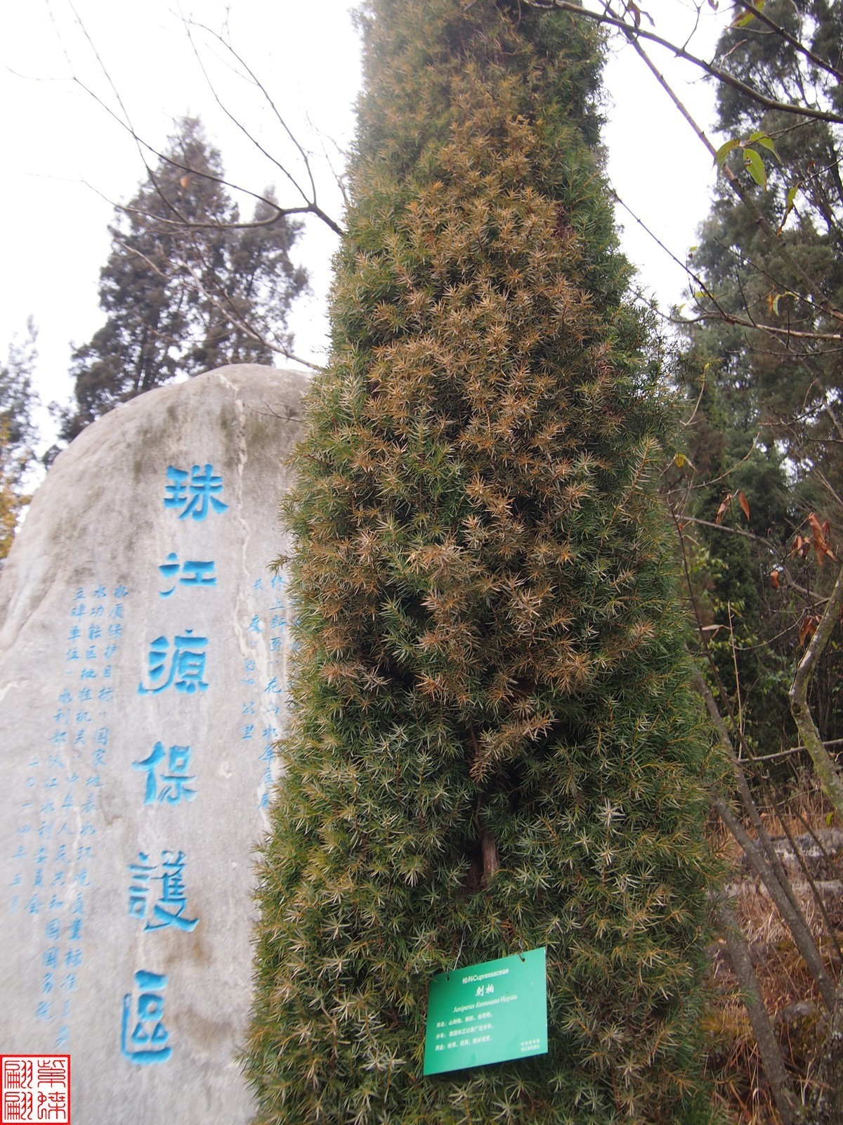 珠江源随拍（7）