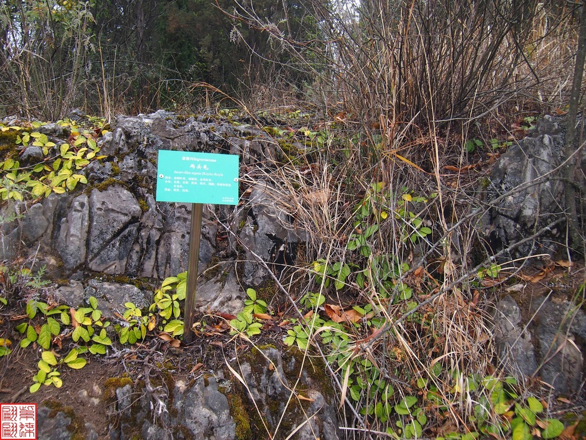 珠江源随拍（7）