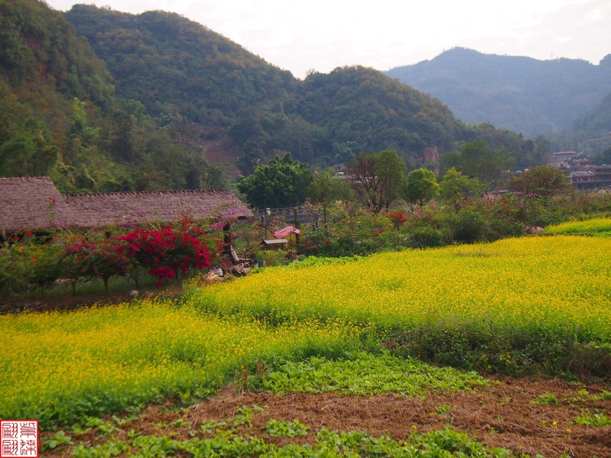 2023.12.22坝美随拍（13）