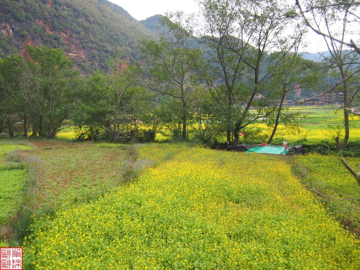 2023.12.22坝美随拍（13）