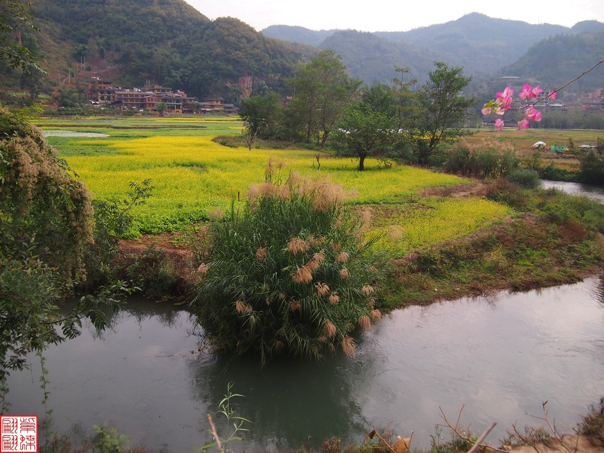 2023.12.22坝美随拍（13）