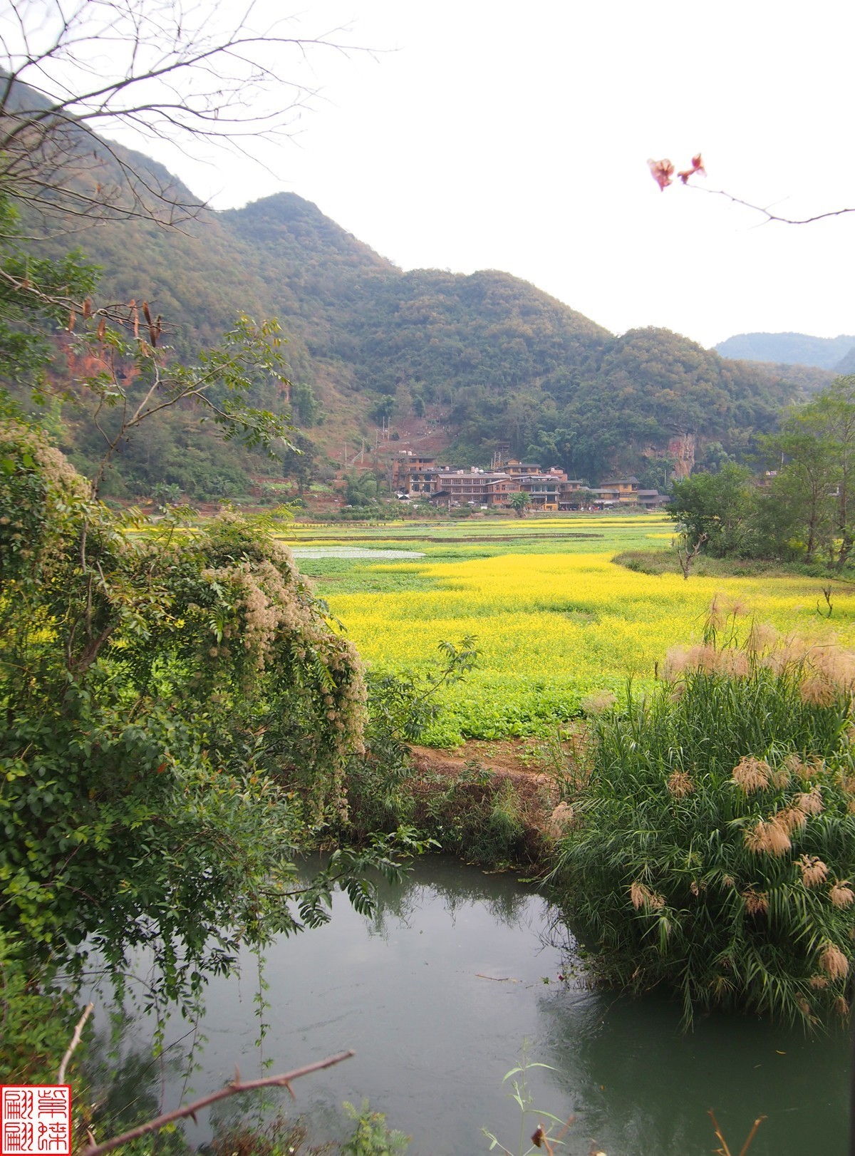 2023.12.22坝美随拍（13）