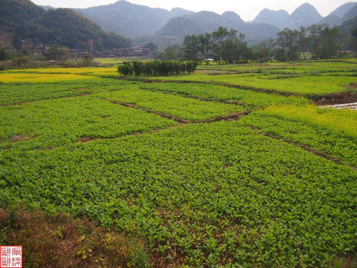2023.12.22坝美随拍（13）