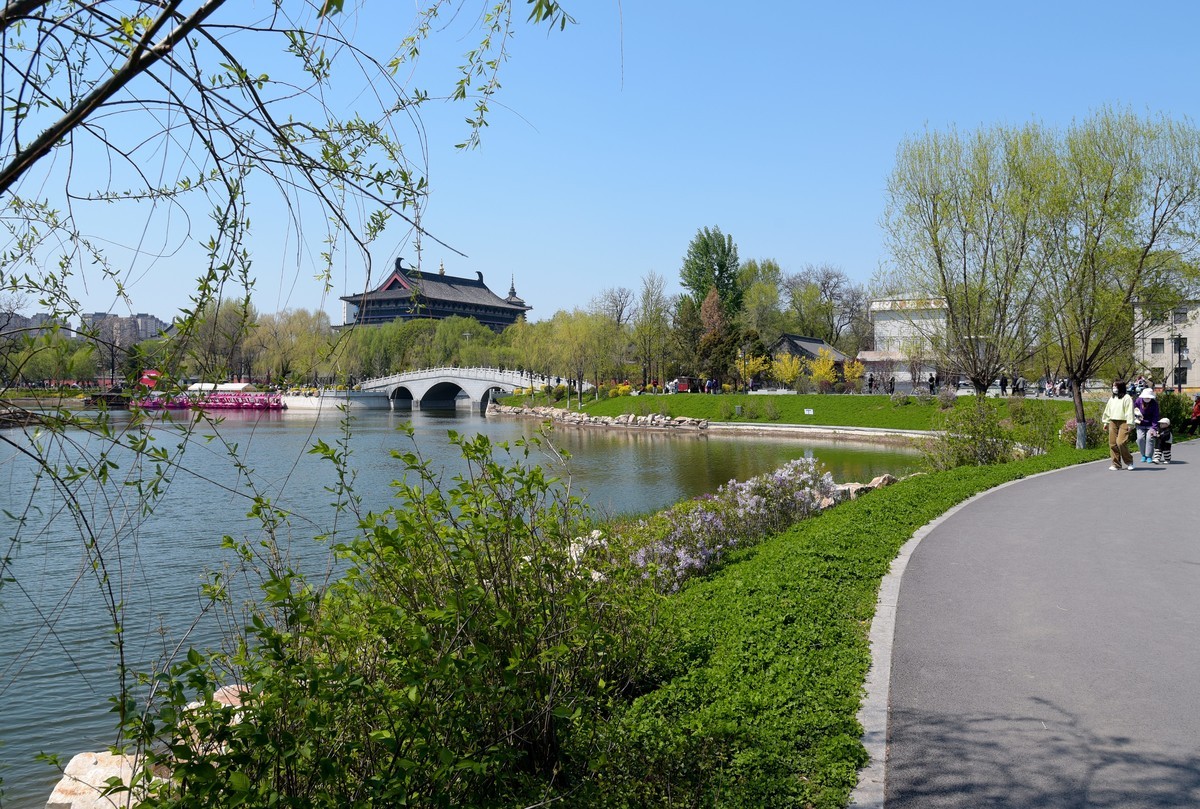 公园随拍（续）