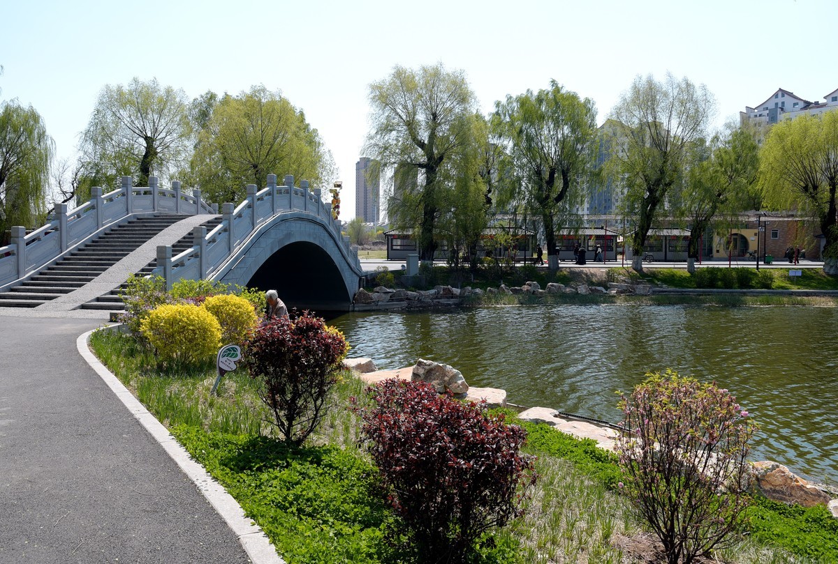 公园随拍（续）