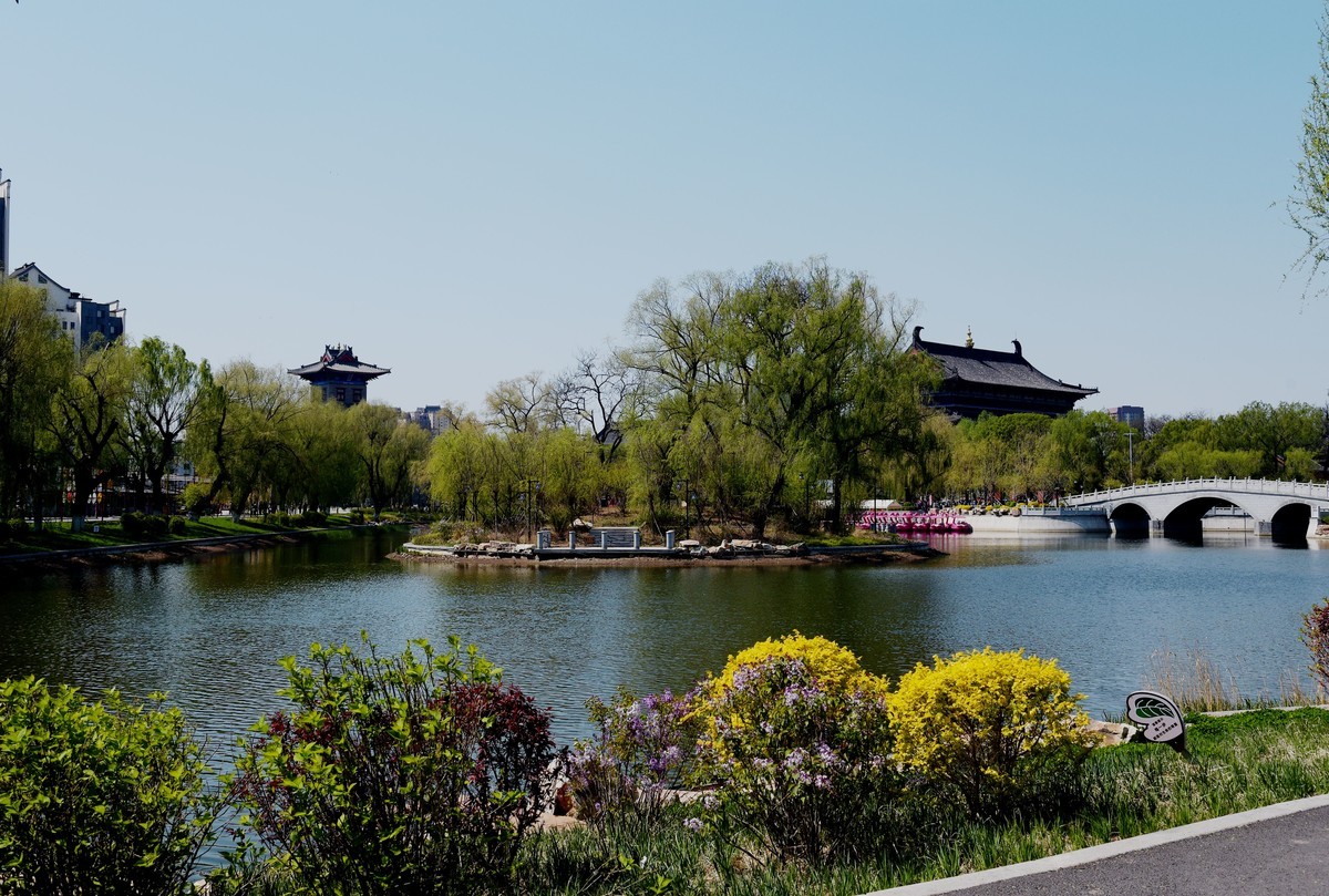 公园随拍（续）