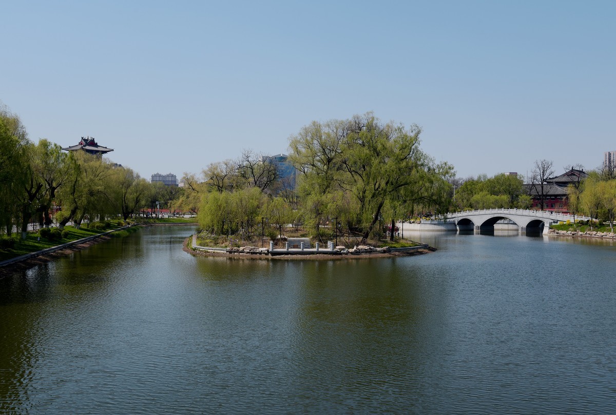 公园随拍（续）