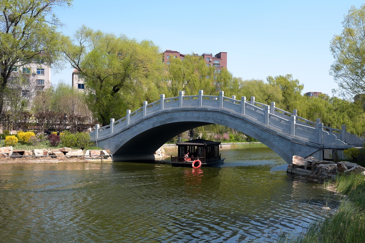 公园随拍（续）